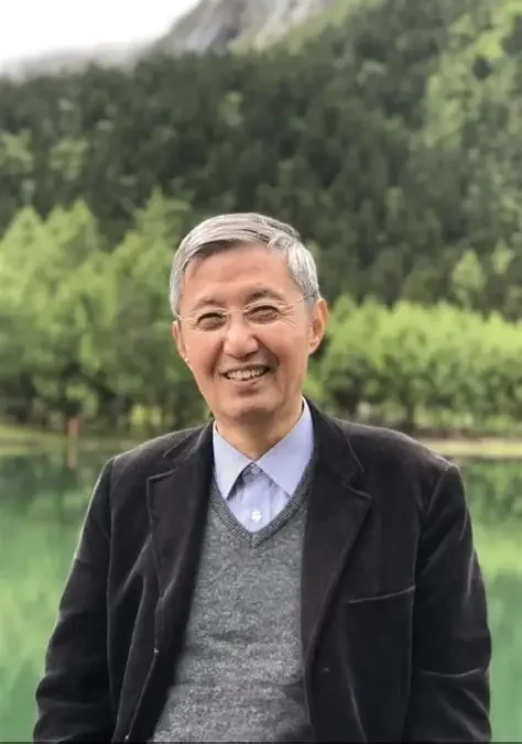 金观涛